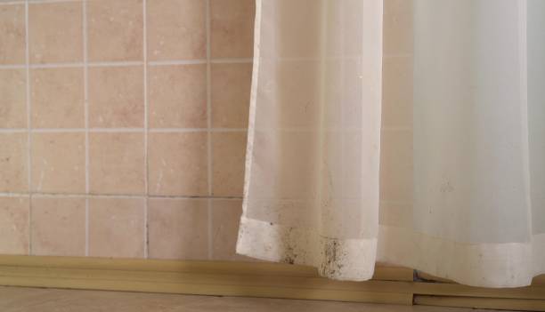 Mold Removal for HVAC Installations in Waldwick, NJ