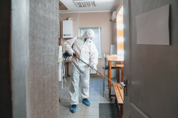 Best Commercial Mold Inspection  in Waldwick, NJ