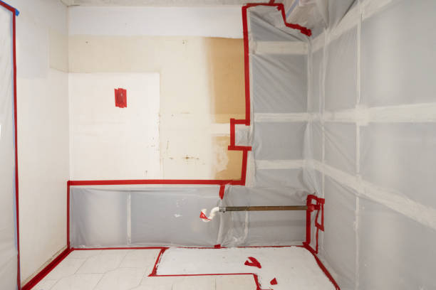 Best Water Damage & Mold Remediation  in Waldwick, NJ