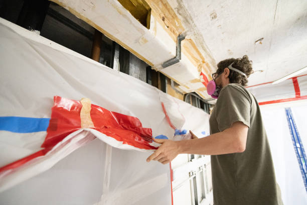 Best Attic Mold Removal  in Waldwick, NJ