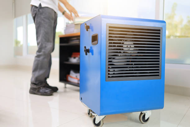 Best Residential Mold Inspection & Testing  in Waldwick, NJ