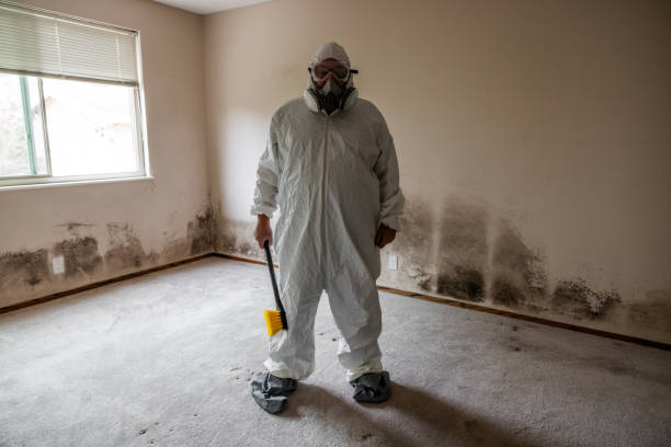 Best Mold Removal for HVAC Installations  in Waldwick, NJ